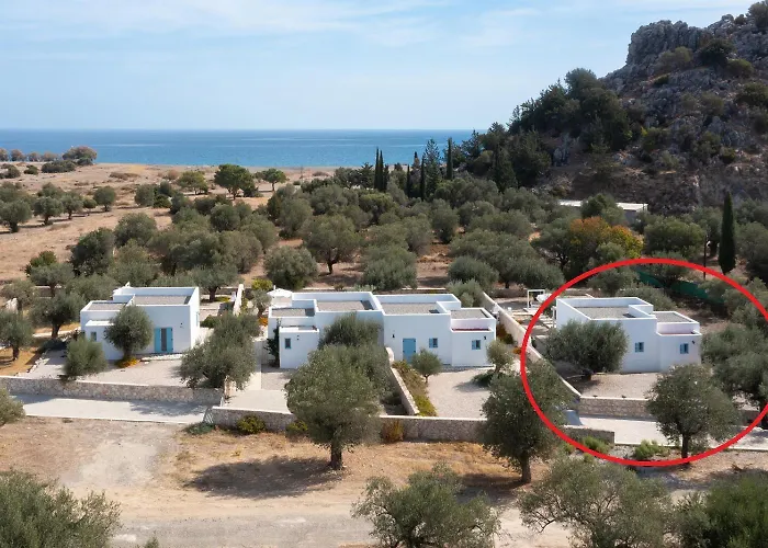 فيلة Dream Galazio